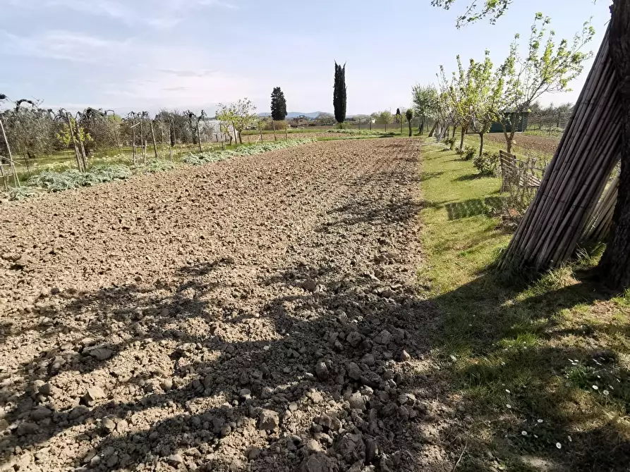 Immagine 58 di Terratetto in vendita  a Fucecchio