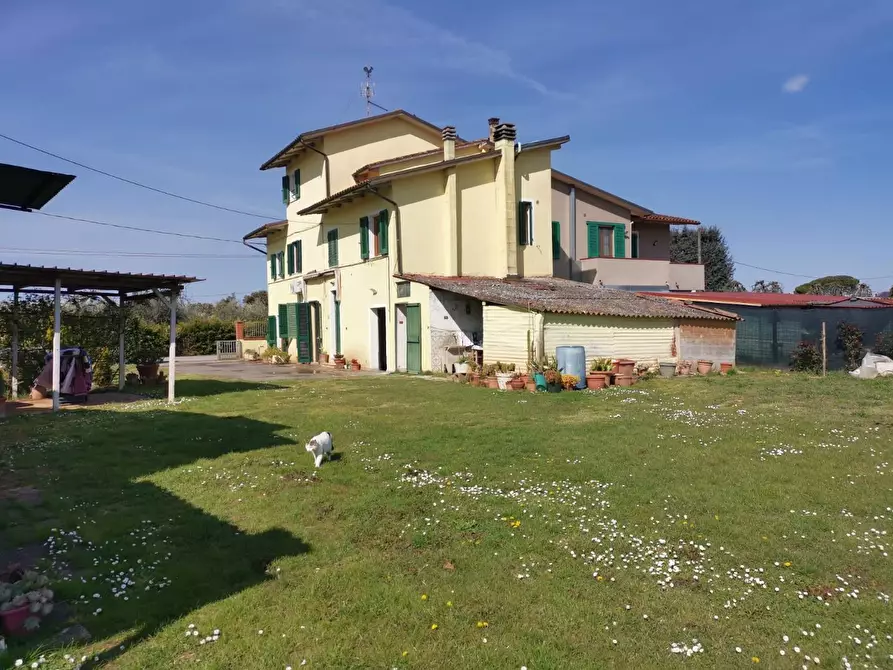 Immagine 14 di Terratetto in vendita  a Fucecchio