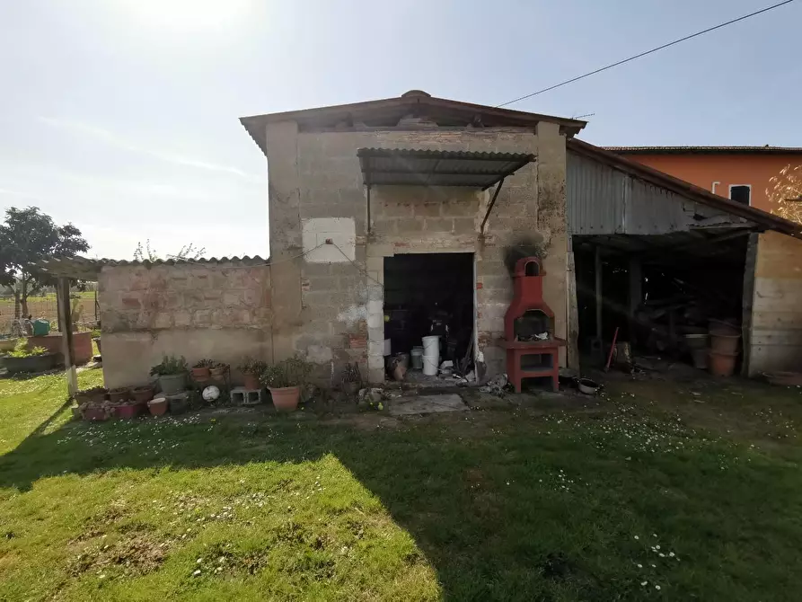 Immagine 11 di Terratetto in vendita  a Fucecchio