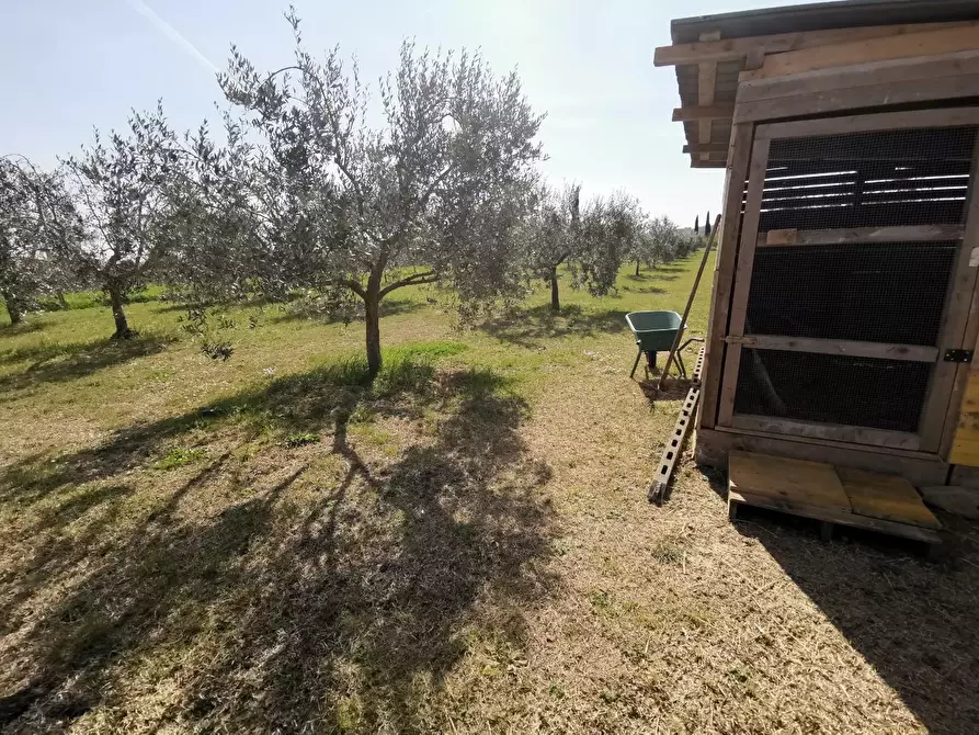 Immagine 65 di Terratetto in vendita  a Fucecchio