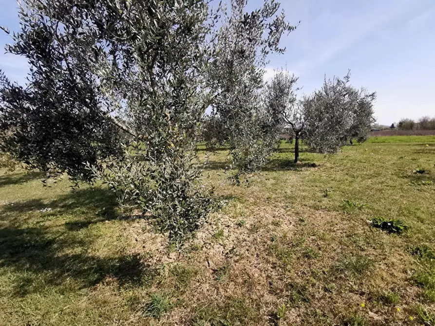 Immagine 72 di Terratetto in vendita  a Fucecchio