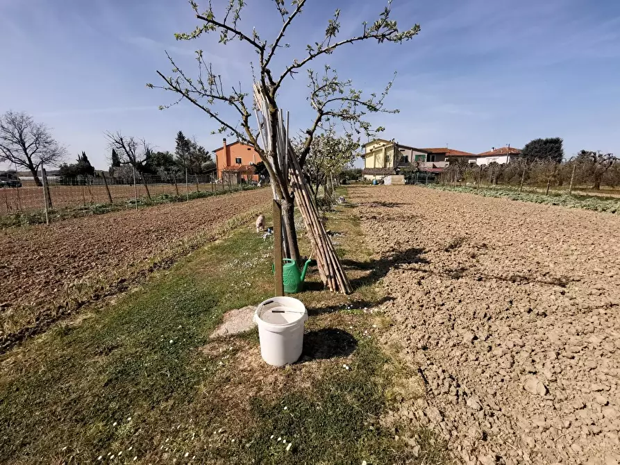 Immagine 62 di Terratetto in vendita  a Fucecchio