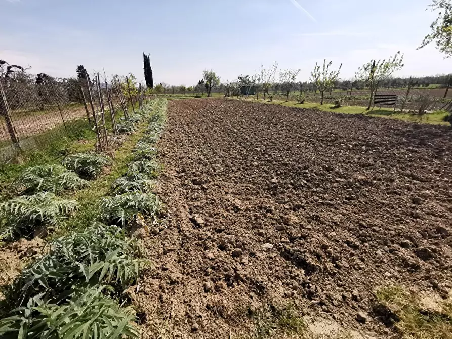 Immagine 59 di Terratetto in vendita  a Fucecchio
