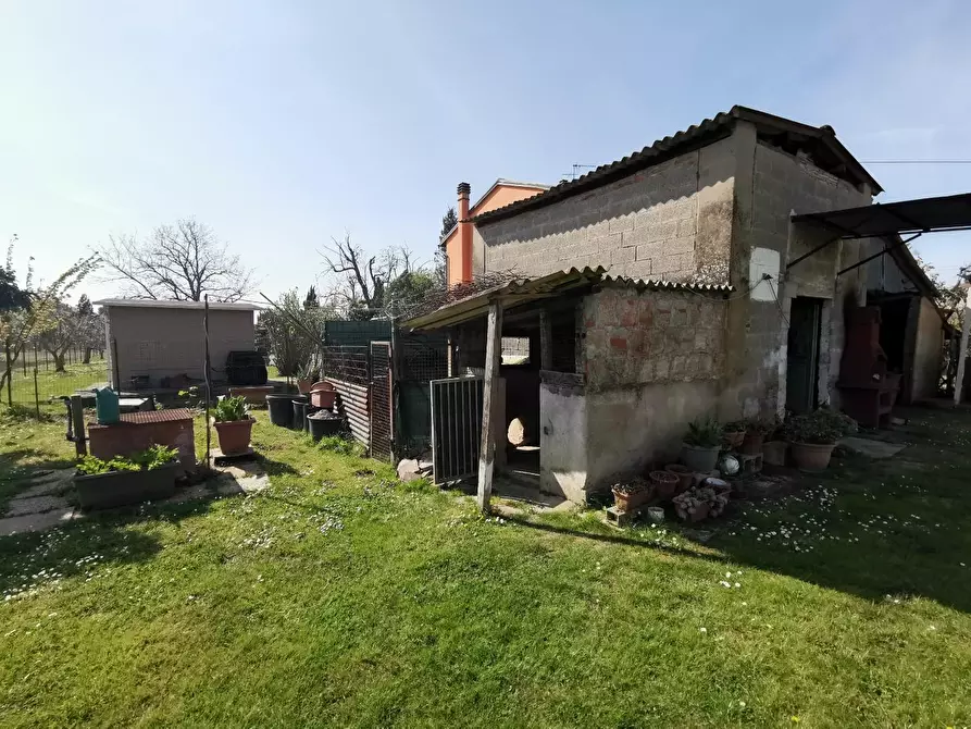 Immagine 13 di Terratetto in vendita  a Fucecchio