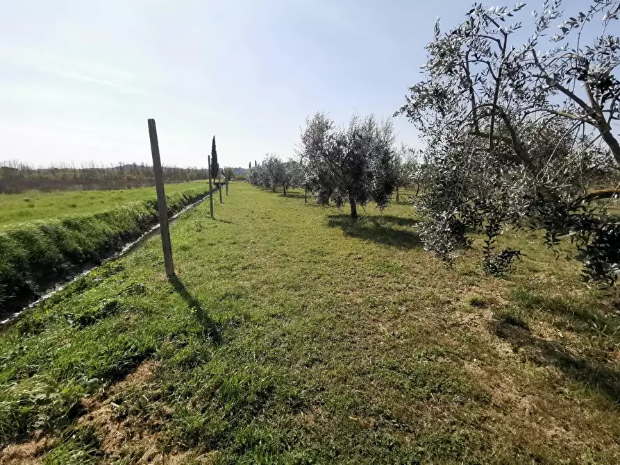 Immagine 68 di Terratetto in vendita  a Fucecchio