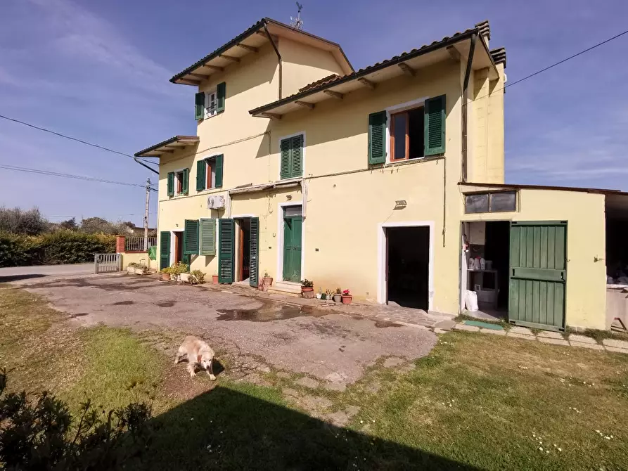 Immagine 8 di Terratetto in vendita  a Fucecchio