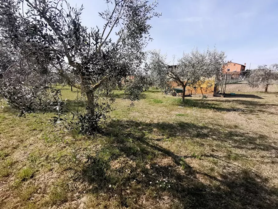 Immagine 66 di Terratetto in vendita  a Fucecchio