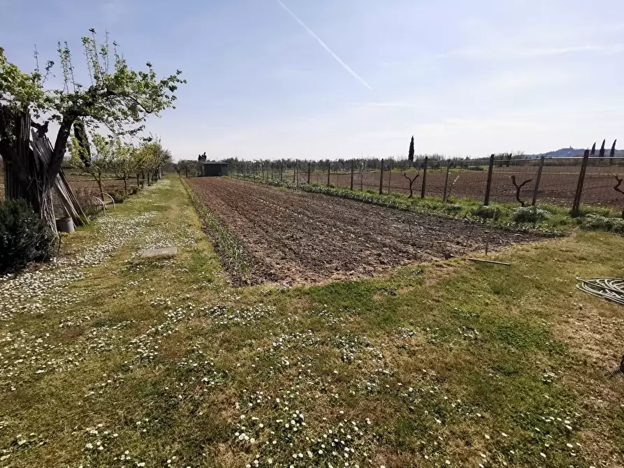 Immagine 57 di Terratetto in vendita  a Fucecchio