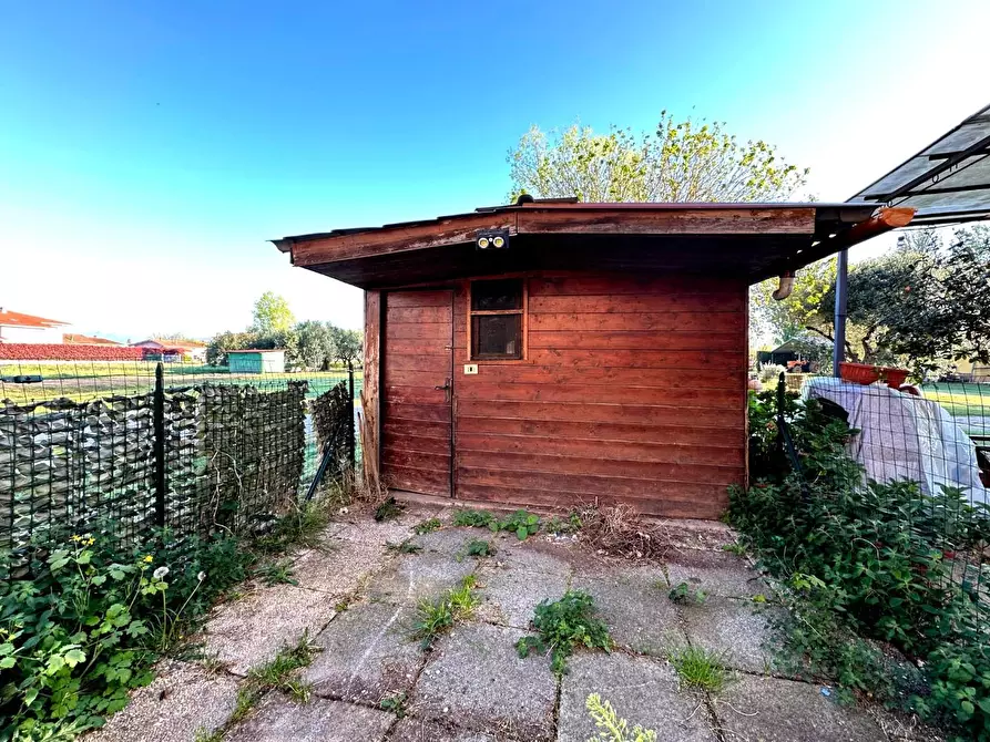 Immagine 7 di Terratetto in vendita  a Capannori