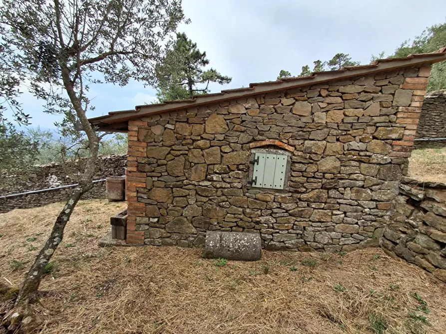 Immagine 18 di Casa colonica in vendita  a Vinci