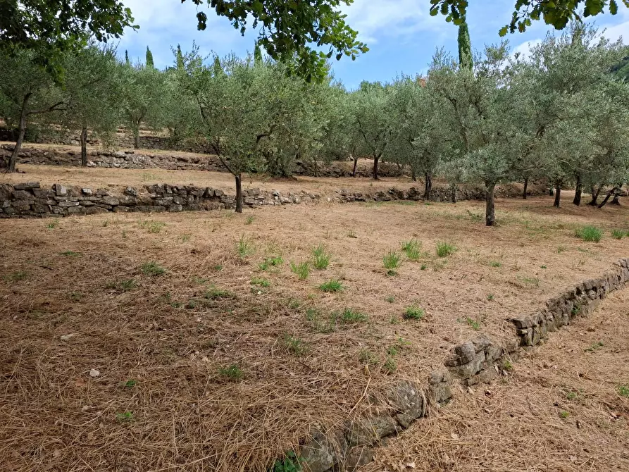 Immagine 21 di Casa colonica in vendita  a Vinci