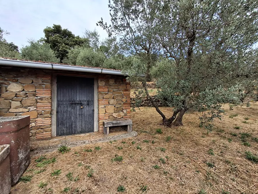 Immagine 20 di Casa colonica in vendita  a Vinci