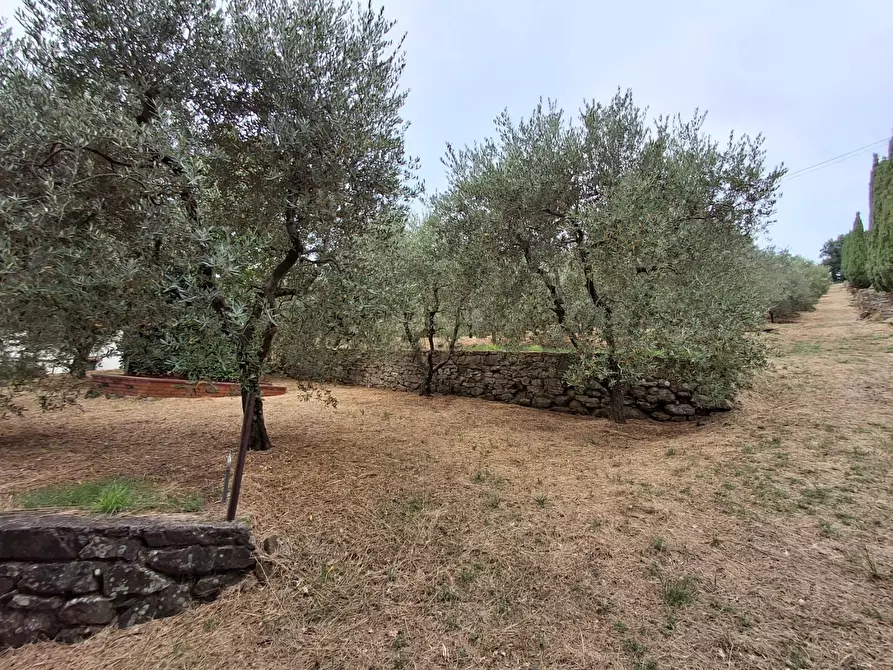 Immagine 17 di Casa colonica in vendita  a Vinci