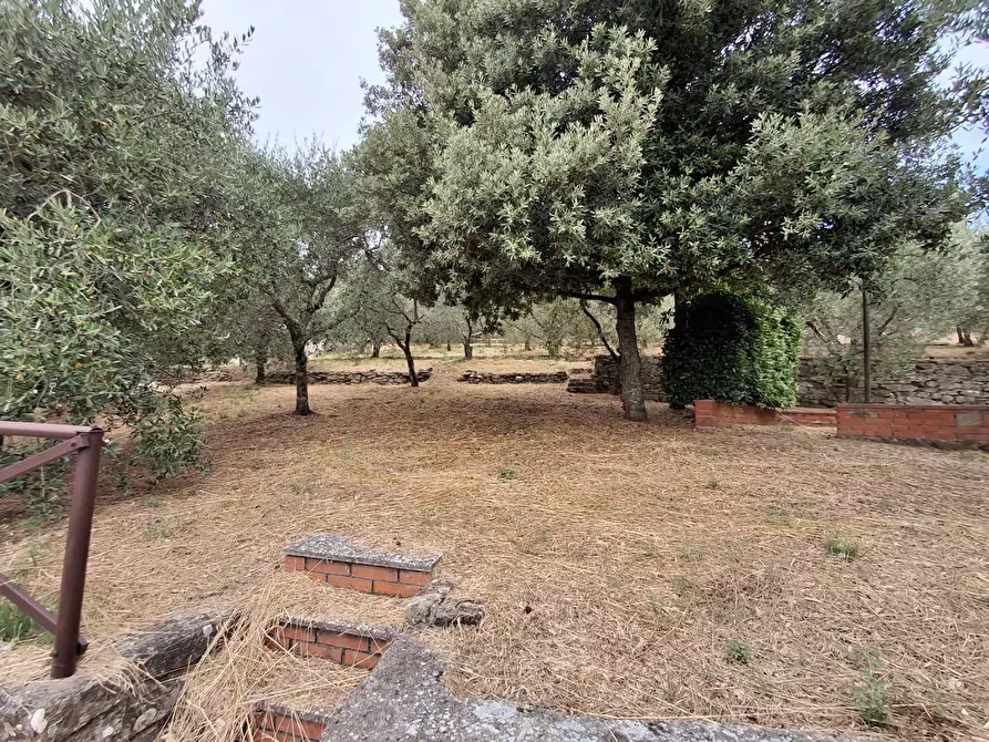 Immagine 16 di Casa colonica in vendita  a Vinci