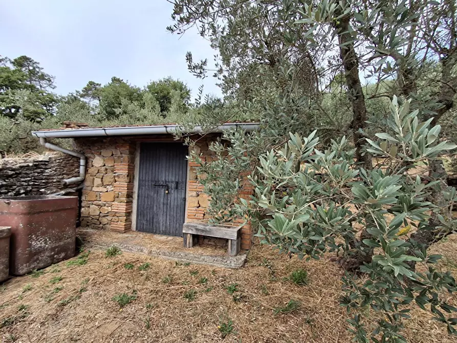 Immagine 19 di Casa colonica in vendita  a Vinci