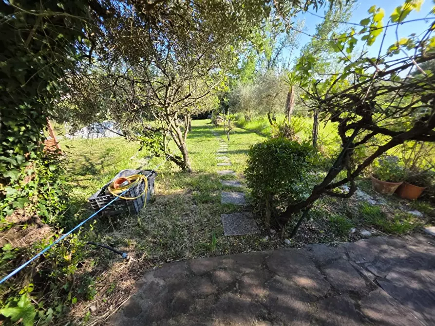 Immagine 27 di Terratetto in vendita  a Cerreto Guidi