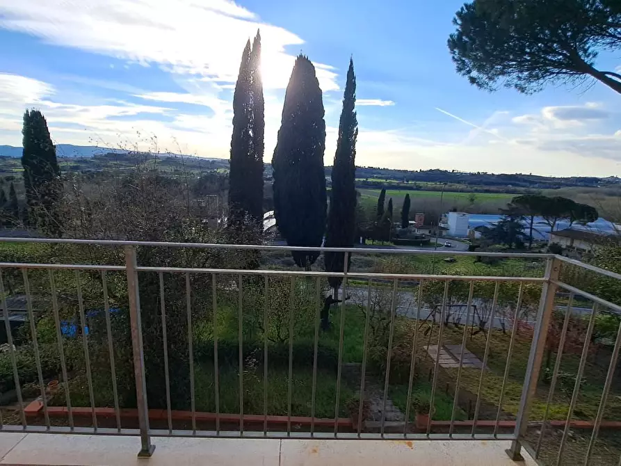 Immagine 12 di Appartamento in vendita  a Peccioli