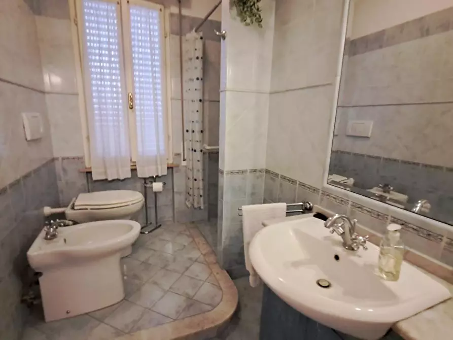 Immagine 11 di Appartamento in vendita  a Peccioli