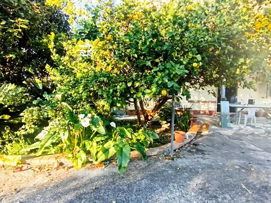 Immagine 38 di Casa quadrifamiliare in vendita  a Sarzana