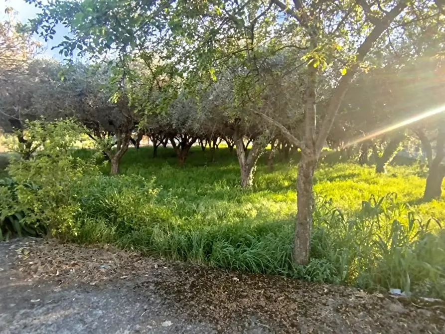 Immagine 39 di Casa quadrifamiliare in vendita  a Sarzana