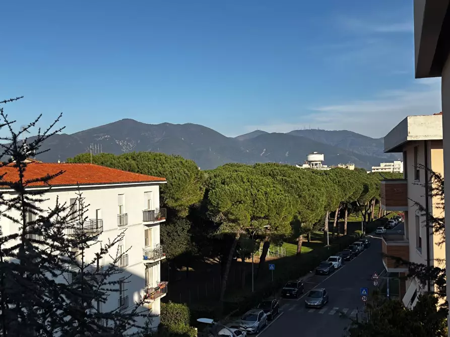 Immagine 7 di Appartamento in vendita  a Pisa