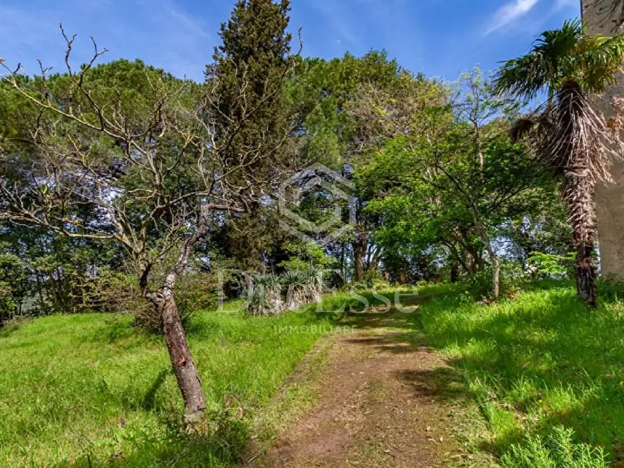 Immagine 69 di Villa in vendita  a San Miniato