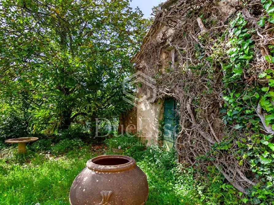 Immagine 15 di Villa in vendita  a San Miniato