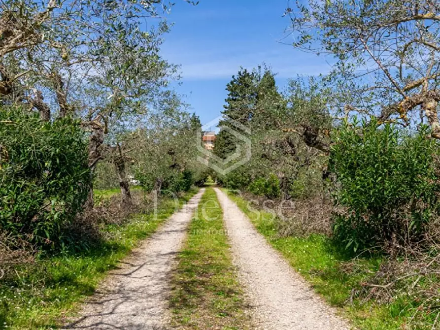 Immagine 80 di Villa in vendita  a San Miniato