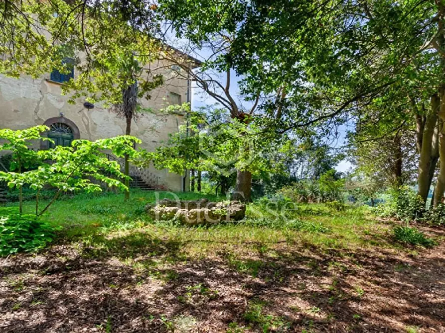 Immagine 73 di Villa in vendita  a San Miniato