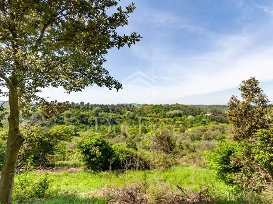 Immagine 77 di Villa in vendita  a San Miniato