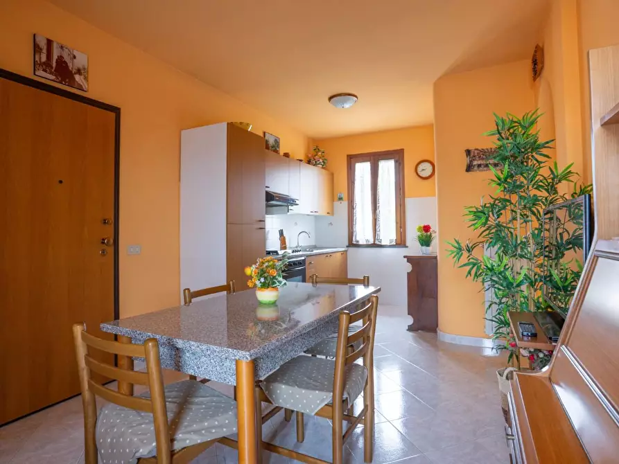 Immagine 3 di Appartamento in vendita  a Buti