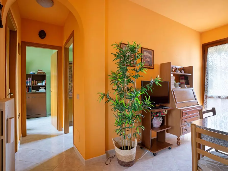 Immagine 4 di Appartamento in vendita  a Buti