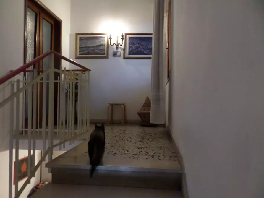 Immagine 39 di Casa indipendente in vendita  a Castelfranco Di Sotto