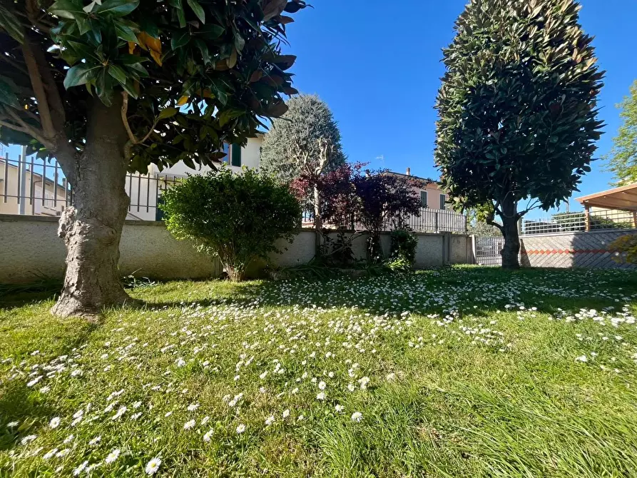 Immagine 2 di Terratetto in vendita  a Santa Croce Sull'arno