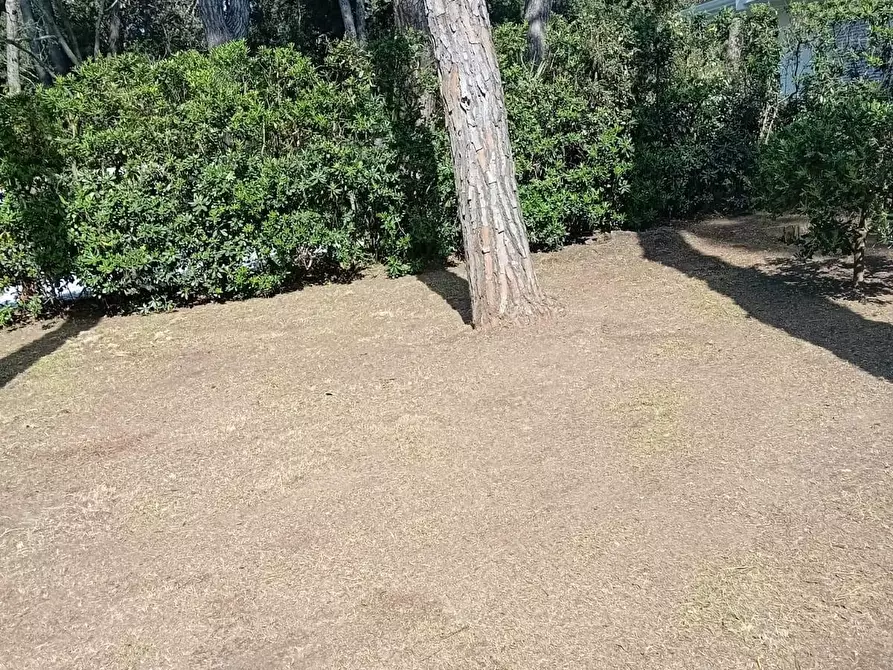 Immagine 24 di Villetta a schiera in affitto  a Massa