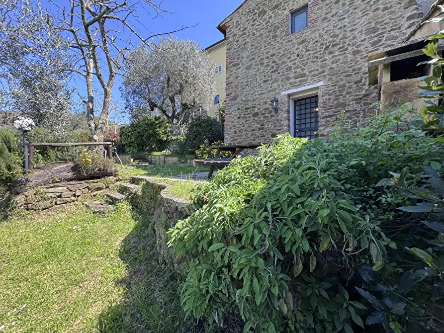 Immagine 1 di Appartamento in vendita  a Lamporecchio