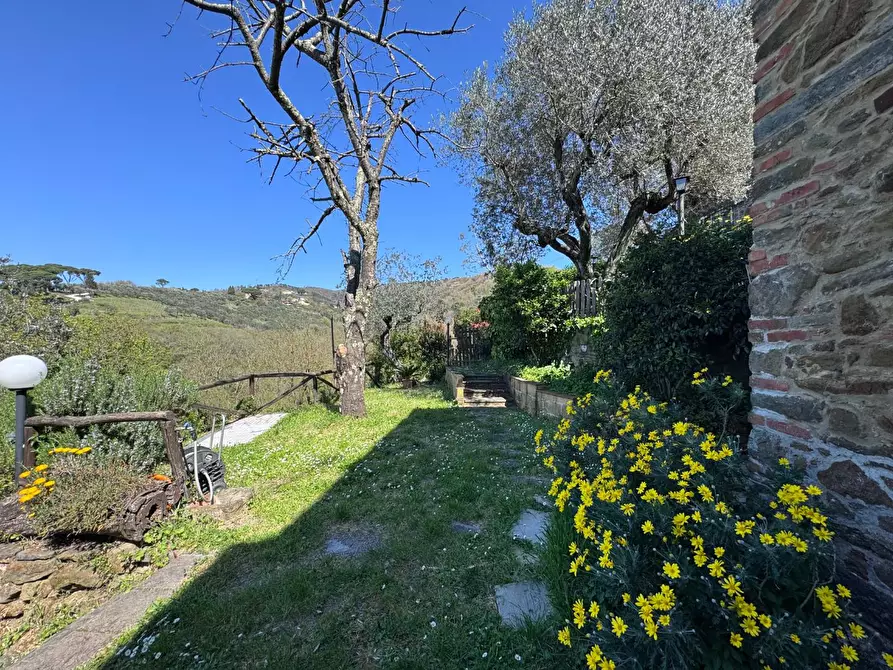 Immagine 9 di Appartamento in vendita  a Lamporecchio