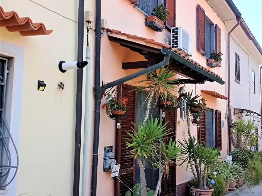 Immagine 15 di Terratetto in vendita  a Pisa