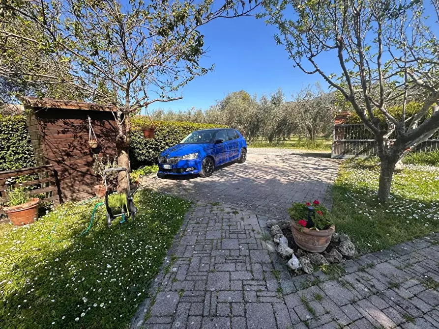 Immagine 38 di Rustico / casale in vendita  a Cascina