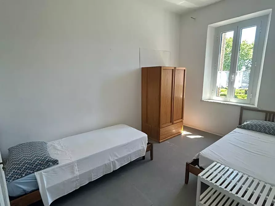 Immagine 4 di Appartamento in affitto  a Rosignano Marittimo