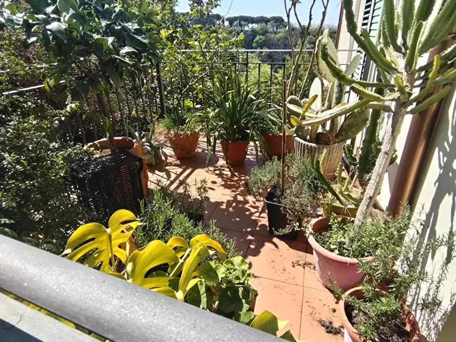 Immagine 5 di Appartamento in vendita  a Massa