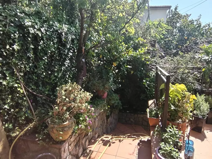 Immagine 7 di Appartamento in vendita  a Massa