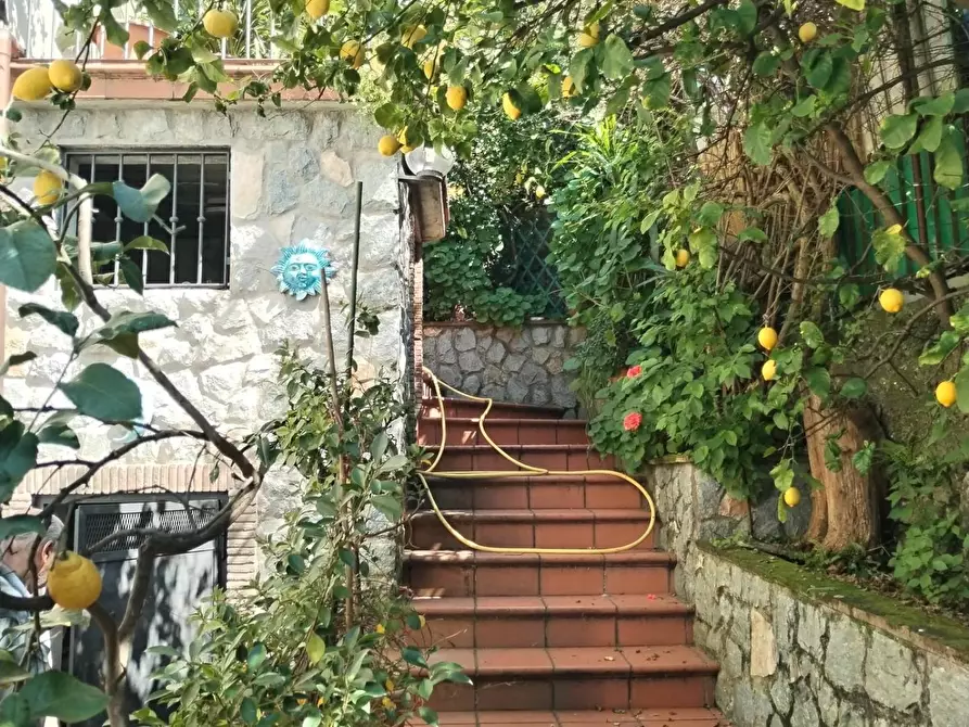 Immagine 3 di Appartamento in vendita  a Massa