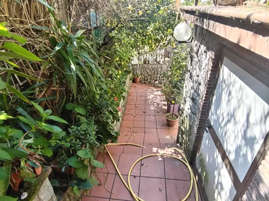 Immagine 2 di Appartamento in vendita  a Massa