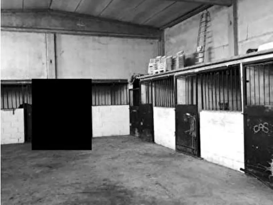 Immagine 7 di Capannone industriale in vendita  a Torre De' Negri