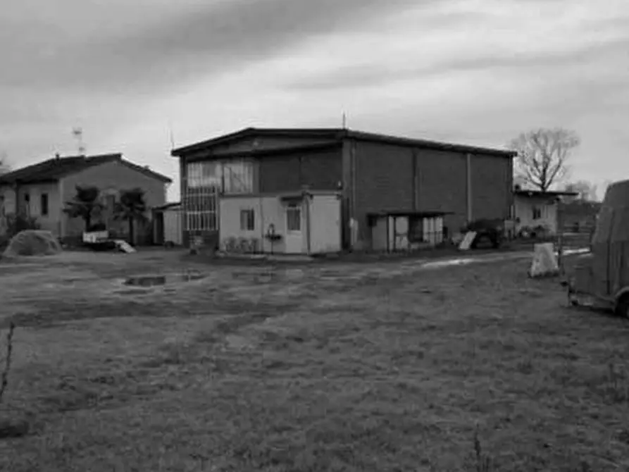 Immagine 2 di Capannone industriale in vendita  a Torre De' Negri