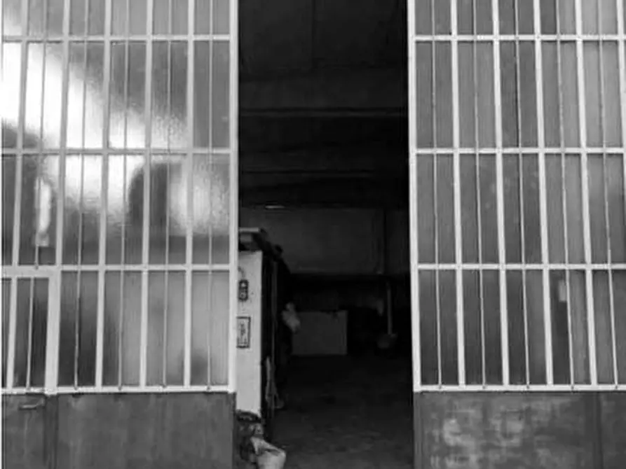Immagine 5 di Capannone industriale in vendita  a Torre De' Negri
