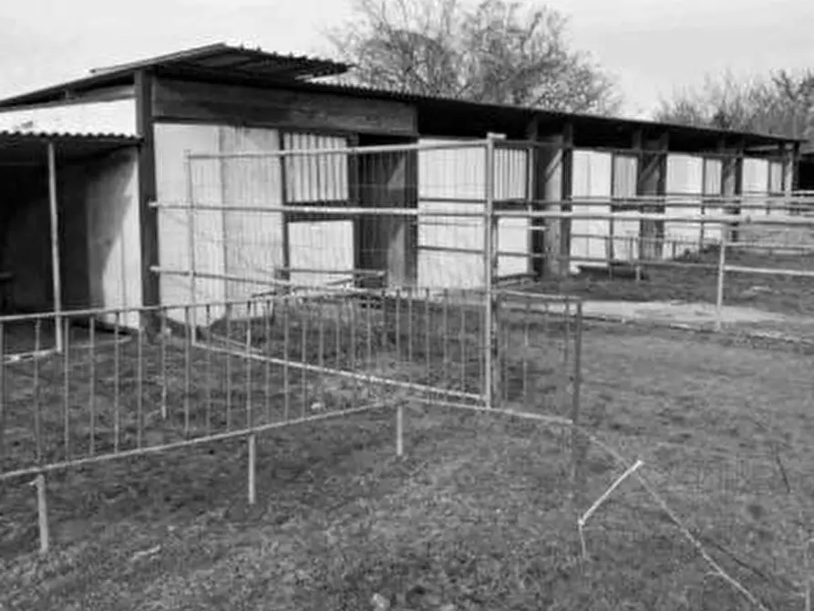 Immagine 3 di Capannone industriale in vendita  a Torre De' Negri