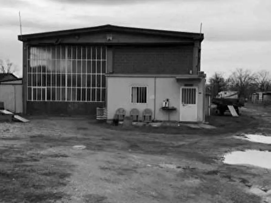 Immagine 1 di Capannone industriale in vendita  a Torre De' Negri