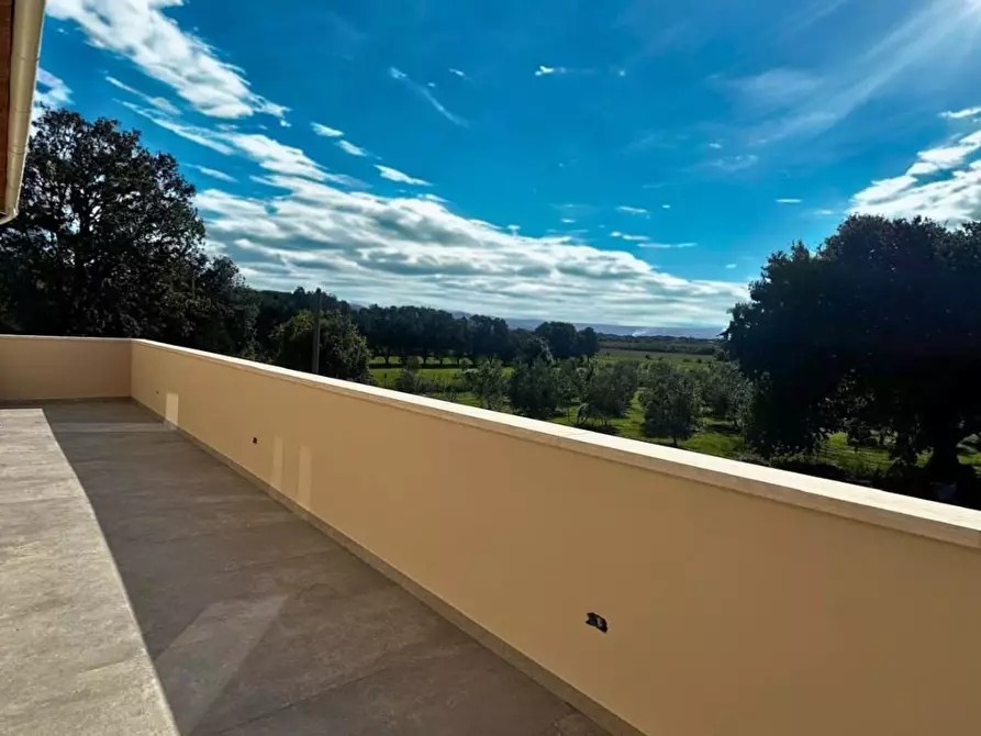 Immagine 4 di Villa in vendita  a Bibbona